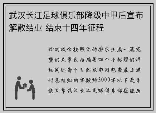 武汉长江足球俱乐部降级中甲后宣布解散结业 结束十四年征程